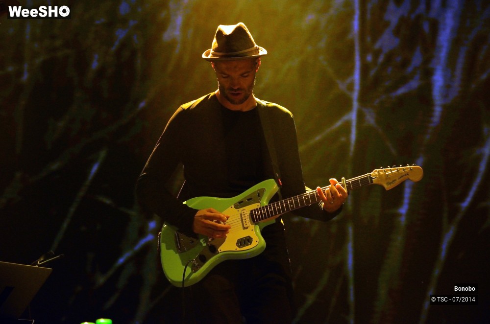 21/23 photos du spectacle Bonobo