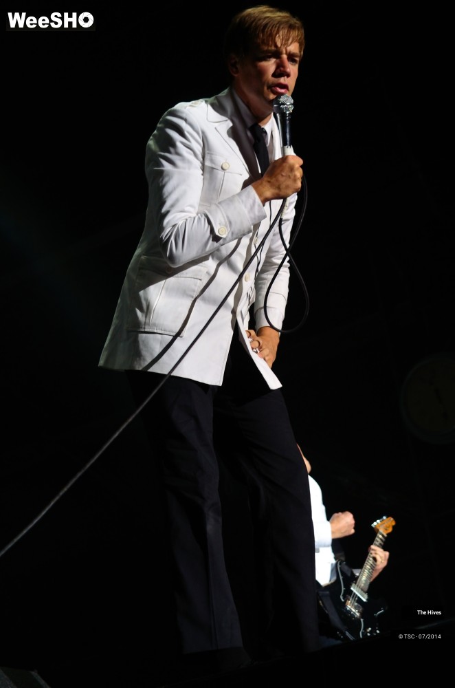 35/40 photos du spectacle The hives