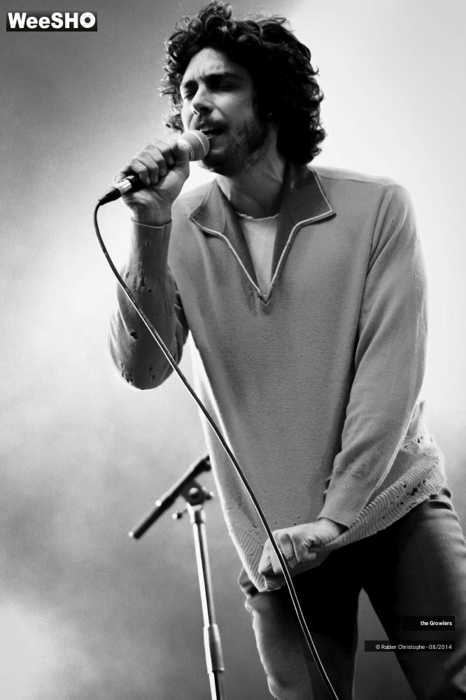 17/28 photos du spectacle The Growlers
