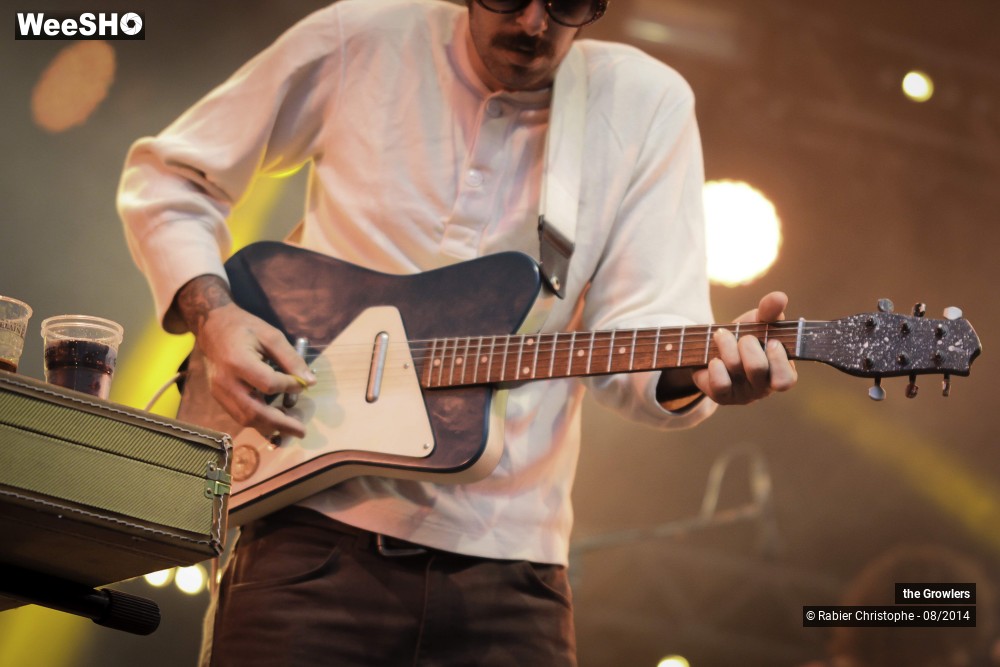 25/28 photos du spectacle The Growlers