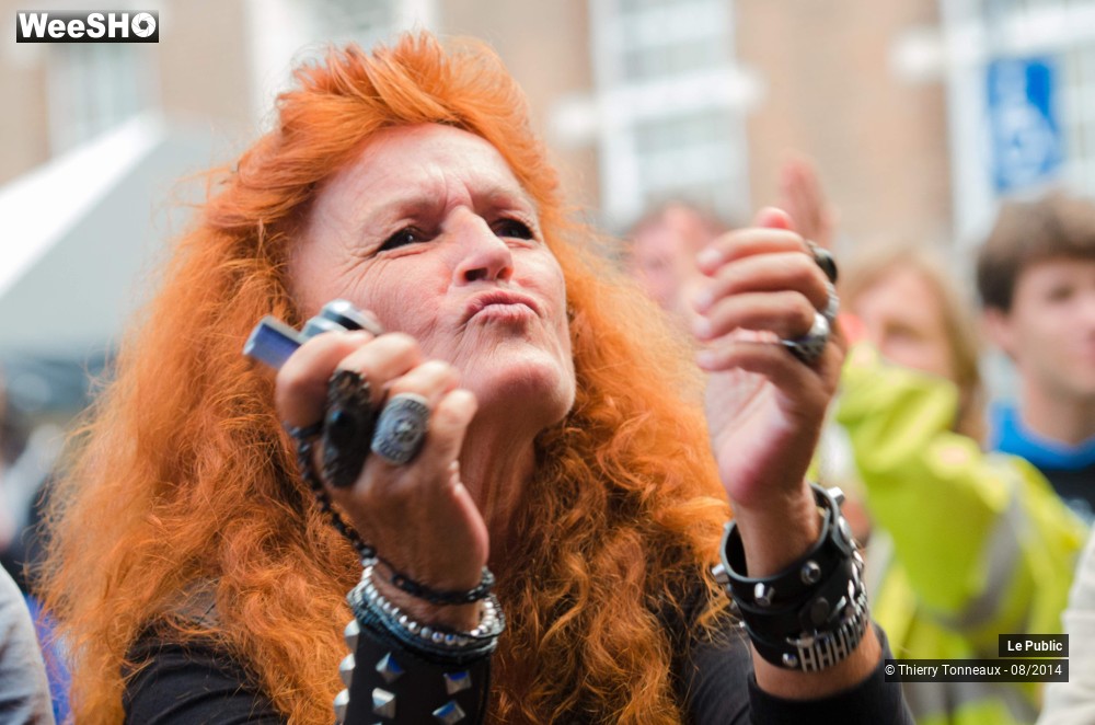 8/49 photos du spectacle Free Bluesfestival Wespelaar Ambiance