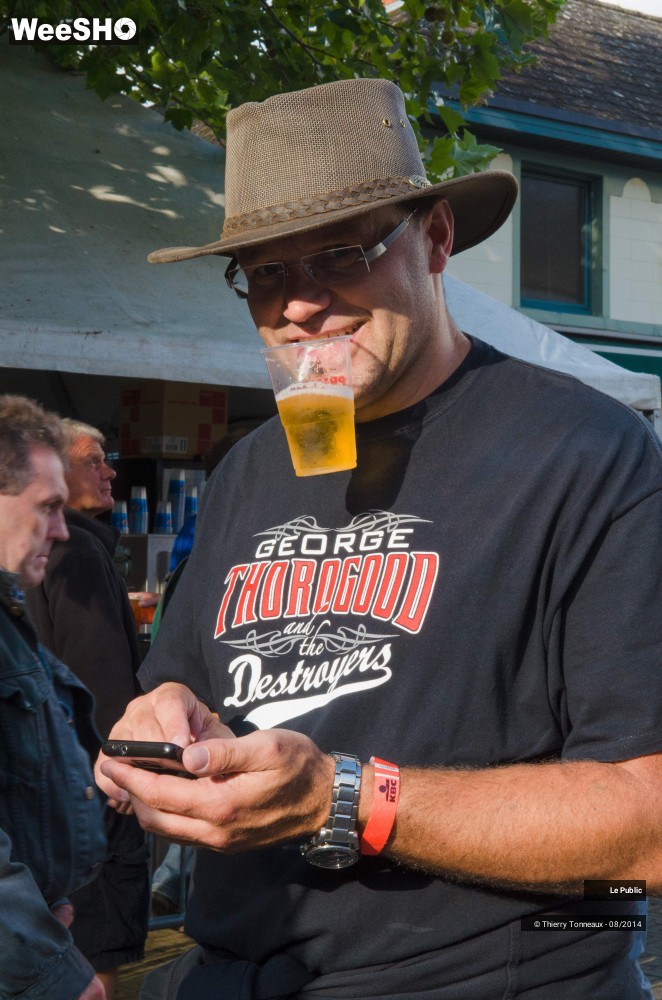 9/49 photos du spectacle Free Bluesfestival Wespelaar Ambiance