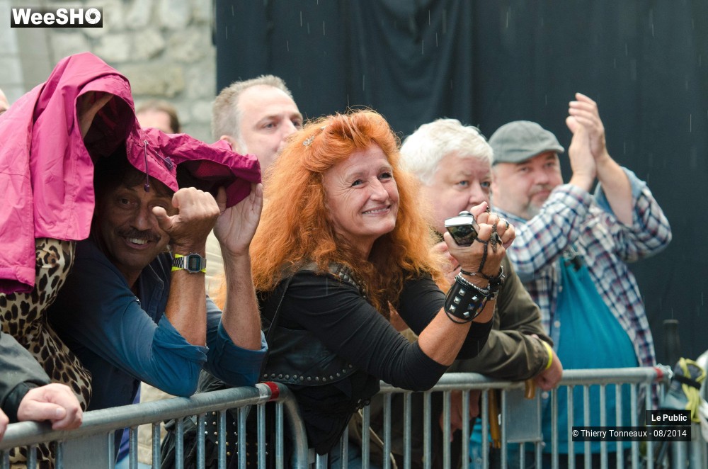 27/49 photos du spectacle Free Bluesfestival Wespelaar Ambiance
