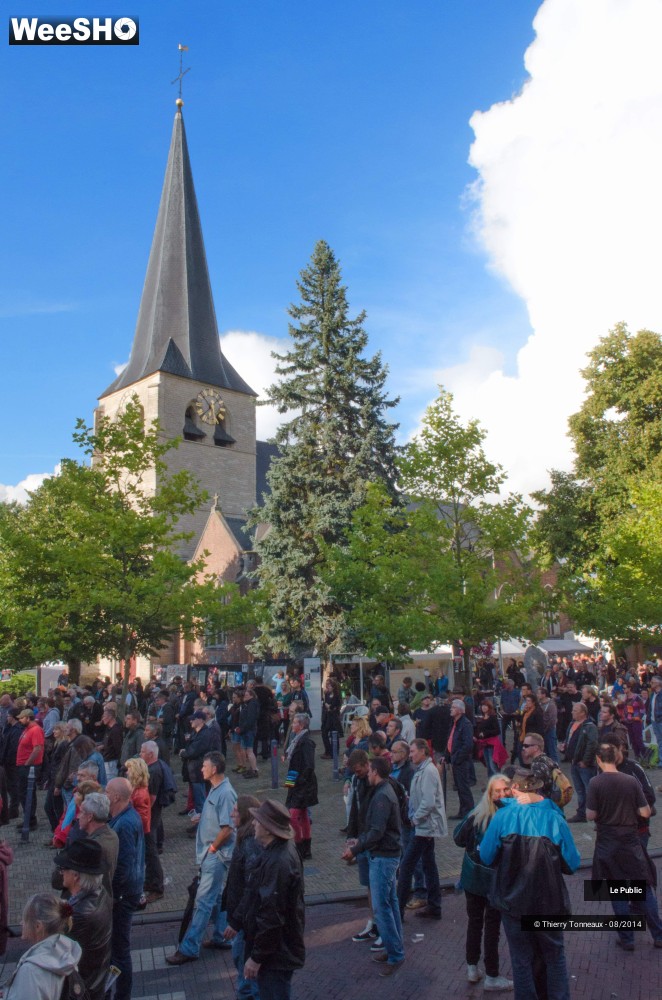 46/49 photos du spectacle Free Bluesfestival Wespelaar Ambiance