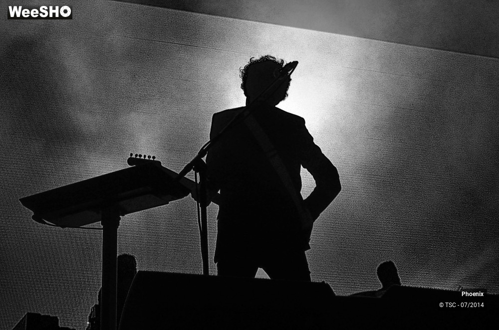 16/49 photos du spectacle Phoenix
