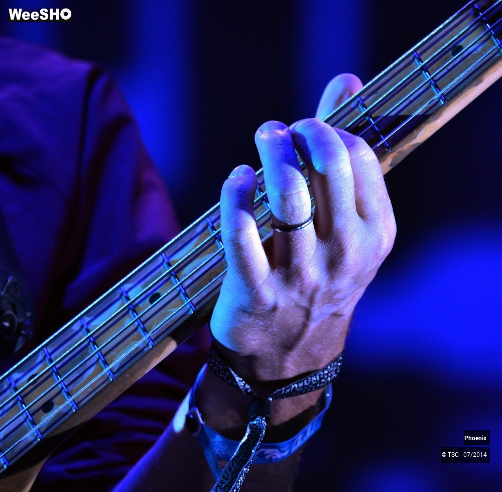 36/49 photos du spectacle Phoenix