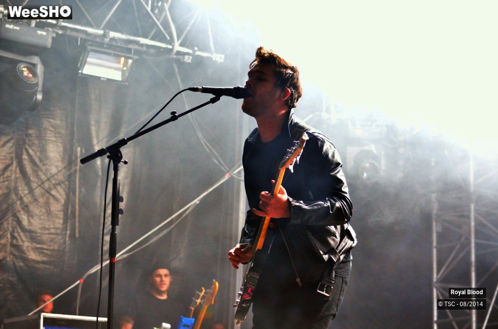 6/14 photos du spectacle Royal Blood