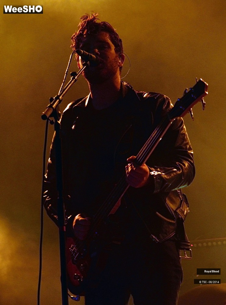 12/14 photos du spectacle Royal Blood