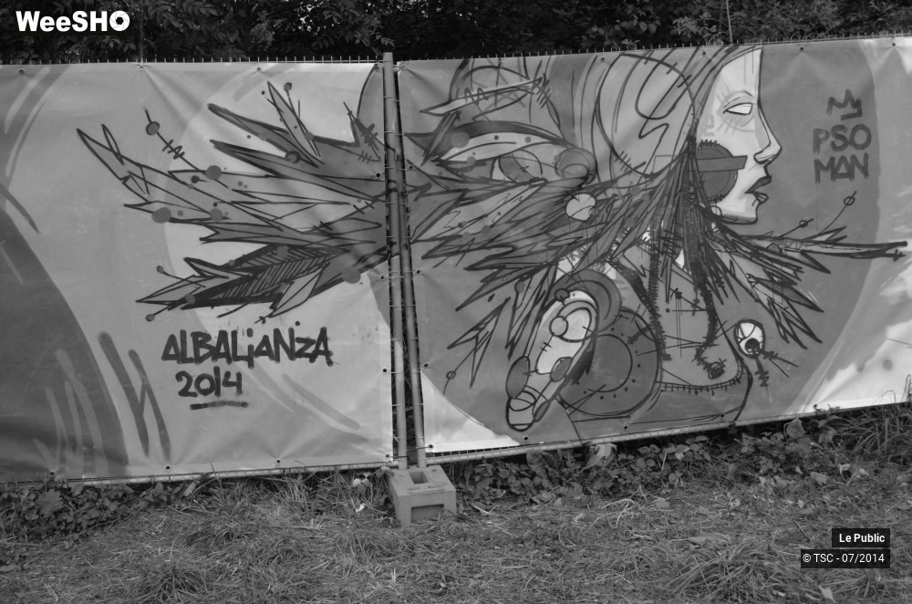2/49 photos du spectacle Ambiance Festival de Dour 2014 Jour 3