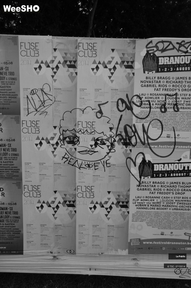 6/49 photos du spectacle Ambiance Festival de Dour 2014 Jour 3