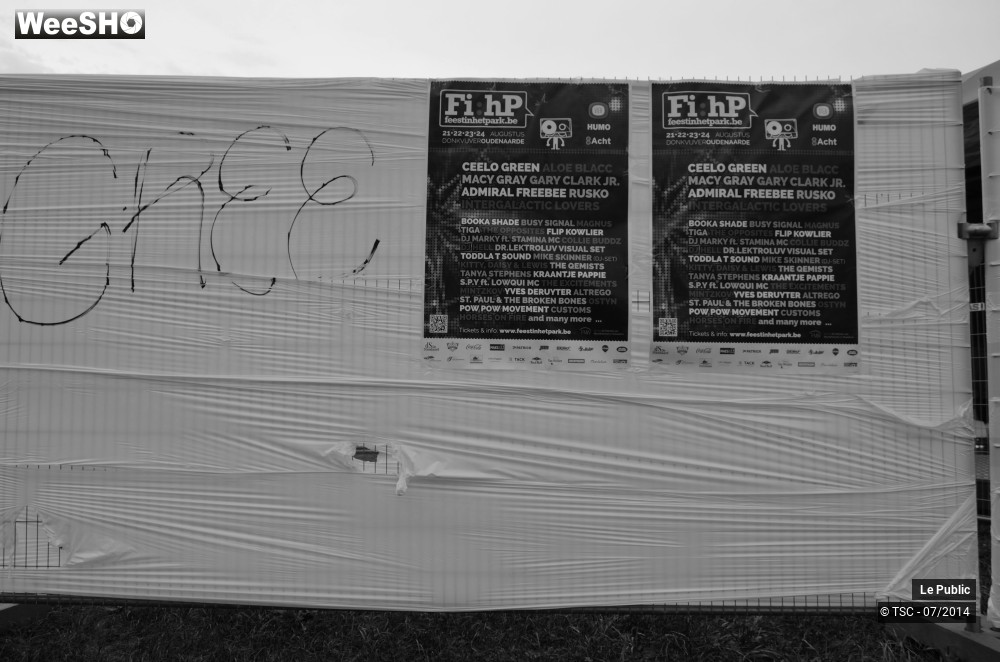 34/49 photos du spectacle Ambiance Festival de Dour 2014 Jour 3
