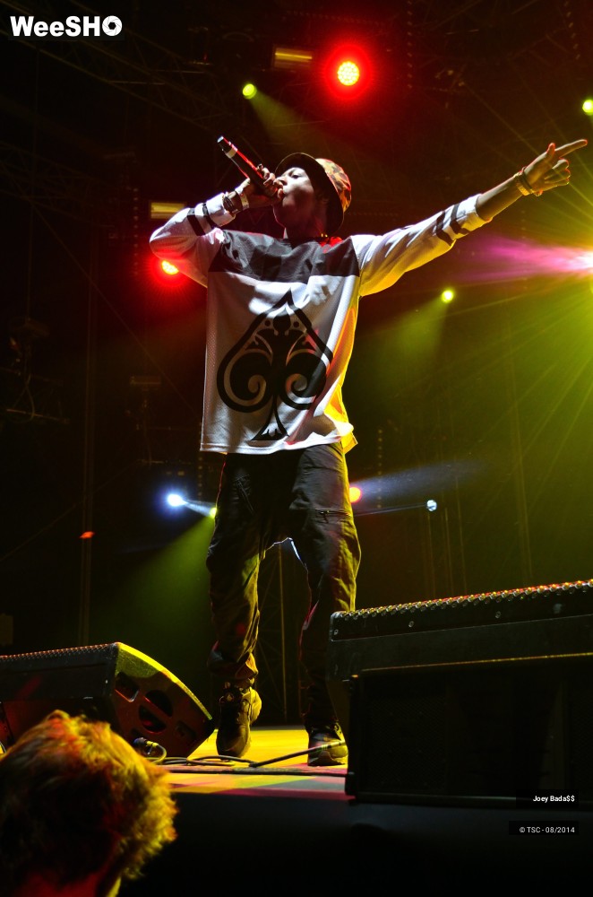 8/18 photos du spectacle Joey Bada$$