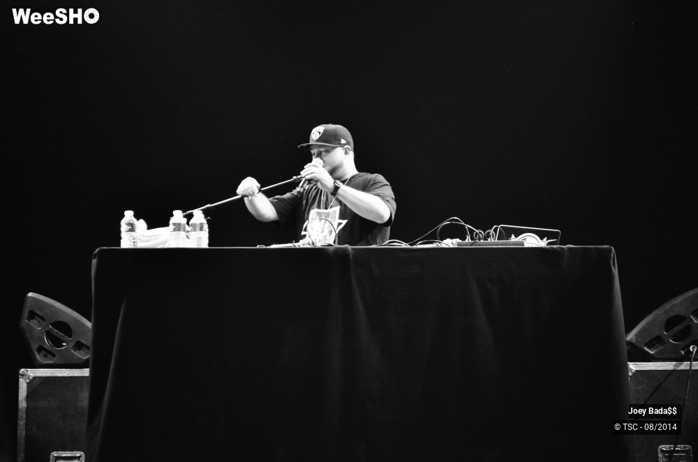 14/18 photos du spectacle Joey Bada$$