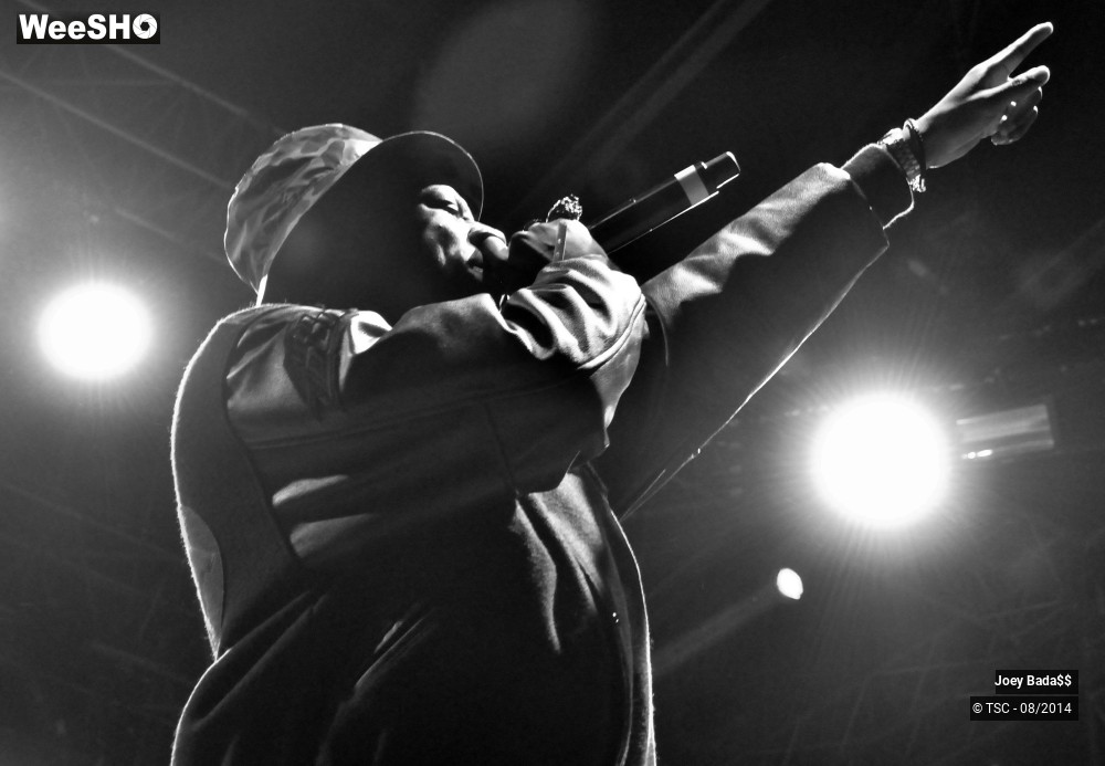 15/18 photos du spectacle Joey Bada$$