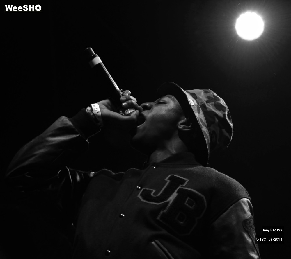 17/18 photos du spectacle Joey Bada$$