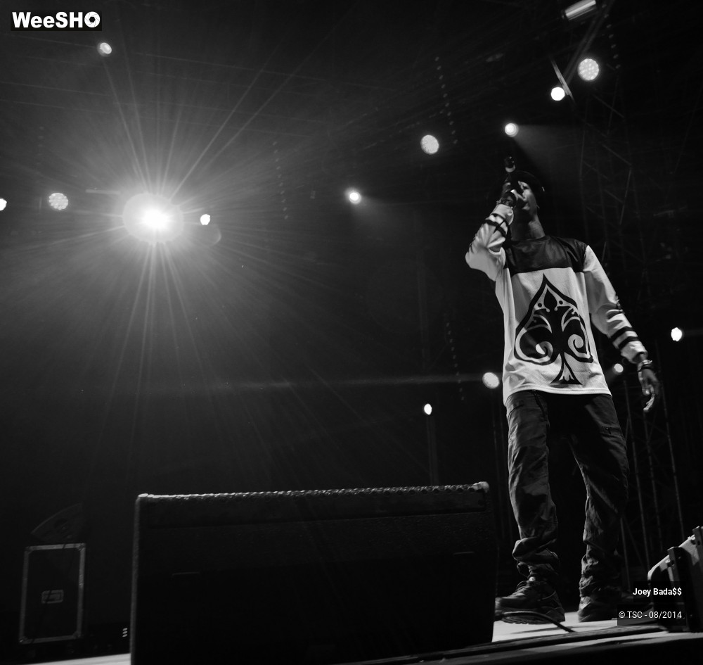 18/18 photos du spectacle Joey Bada$$