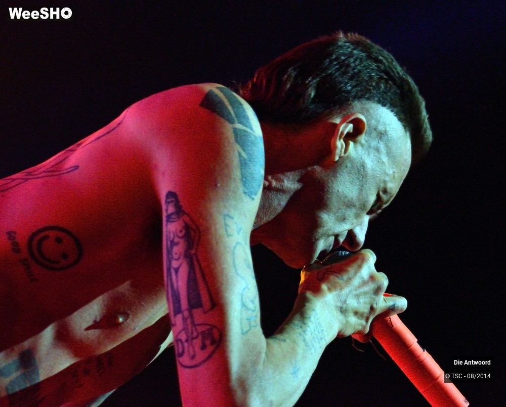 3/20 photos du spectacle Die Antwoord