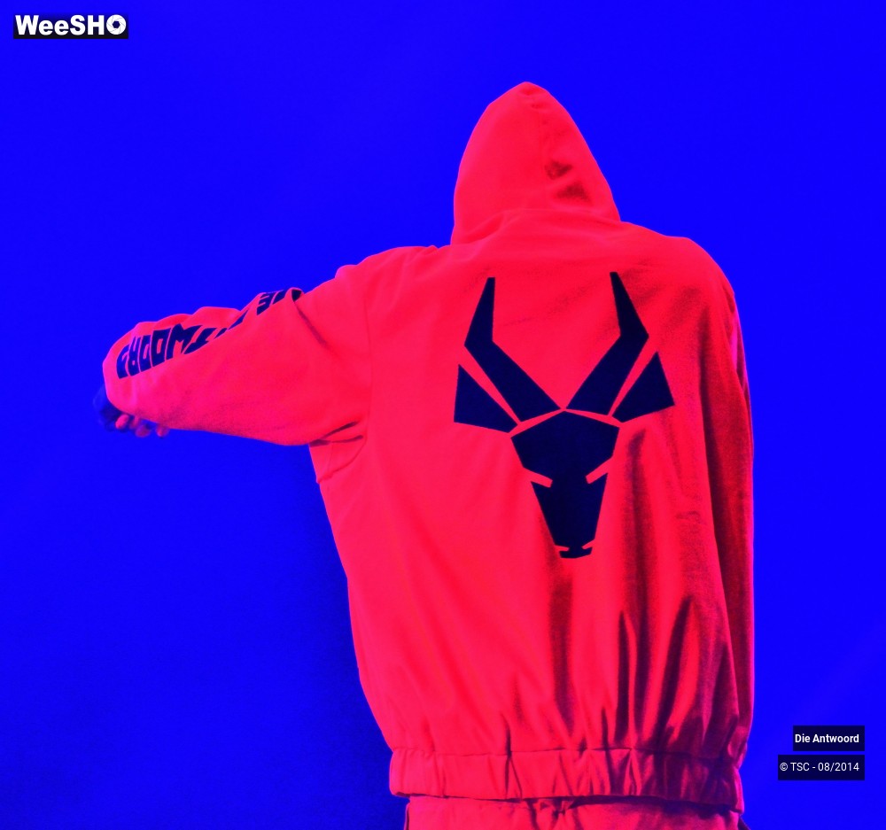 5/20 photos du spectacle Die Antwoord
