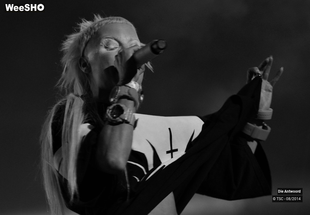 6/20 photos du spectacle Die Antwoord