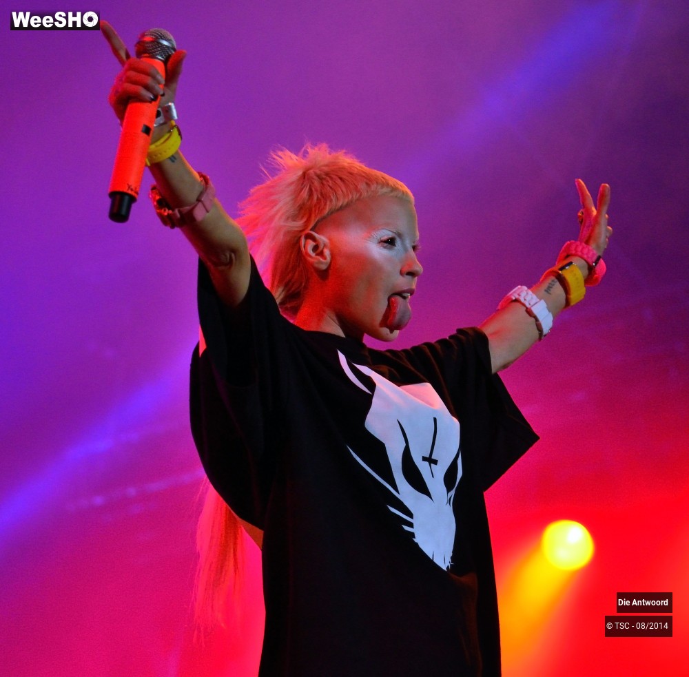 9/20 photos du spectacle Die Antwoord