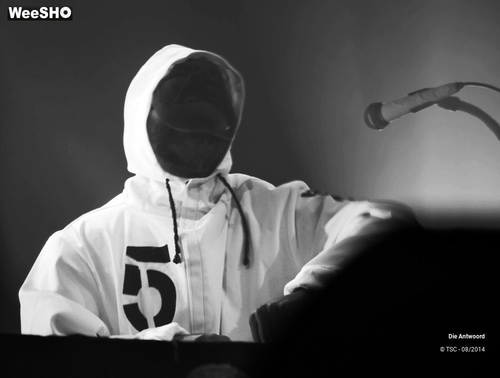 12/20 photos du spectacle Die Antwoord