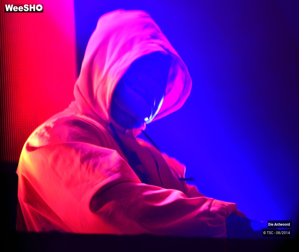 13/20 photos du spectacle Die Antwoord