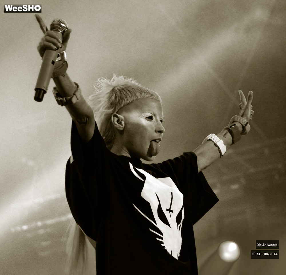 14/20 photos du spectacle Die Antwoord