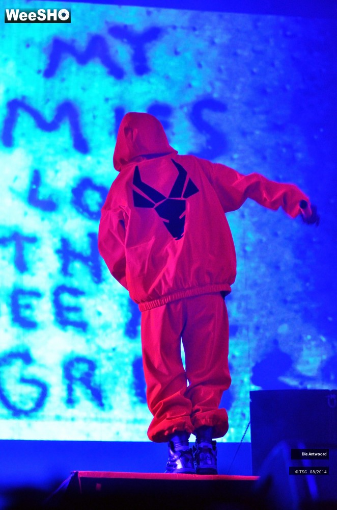 15/20 photos du spectacle Die Antwoord