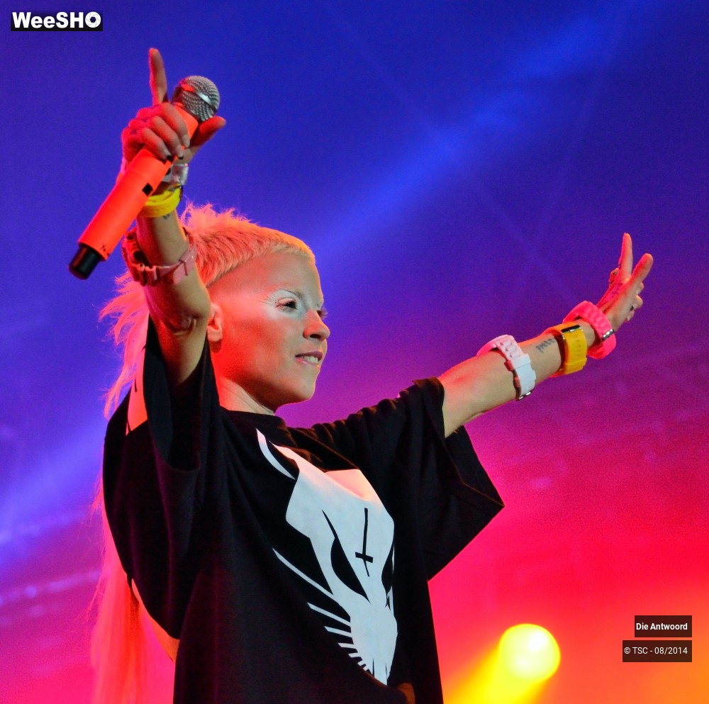 16/20 photos du spectacle Die Antwoord