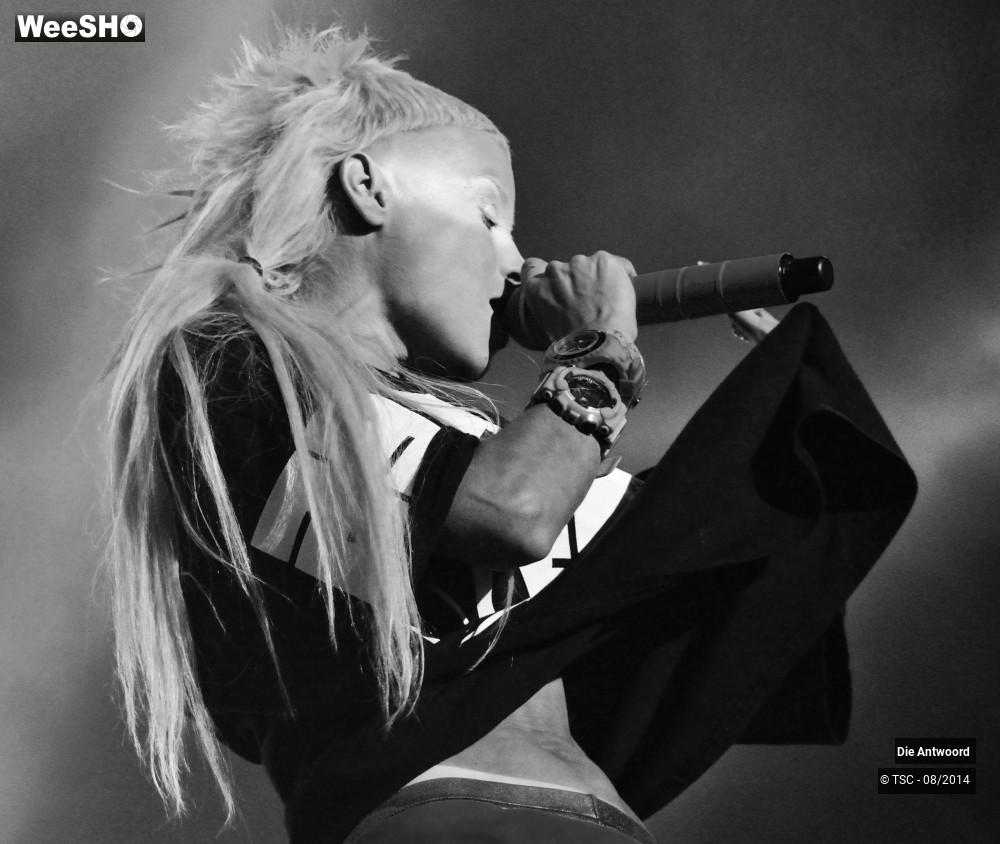 19/20 photos du spectacle Die Antwoord