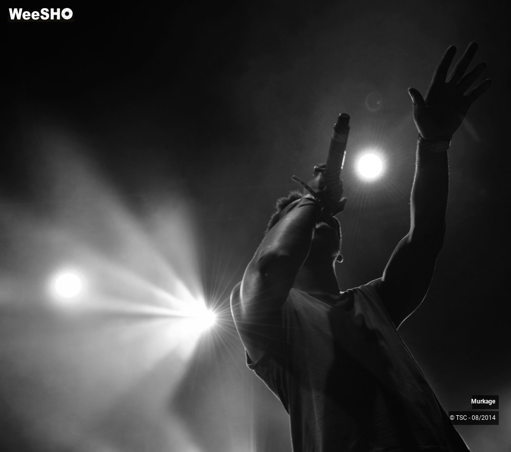 19/30 photos du spectacle Murkage