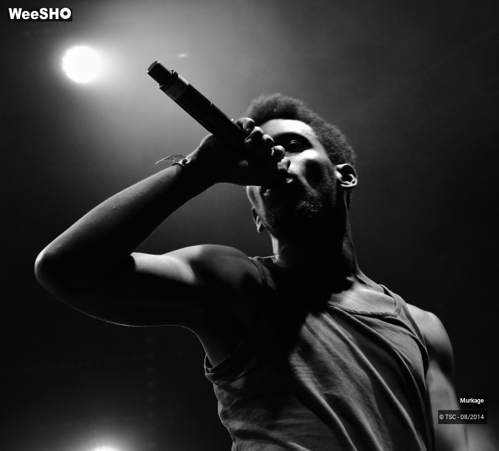 28/30 photos du spectacle Murkage
