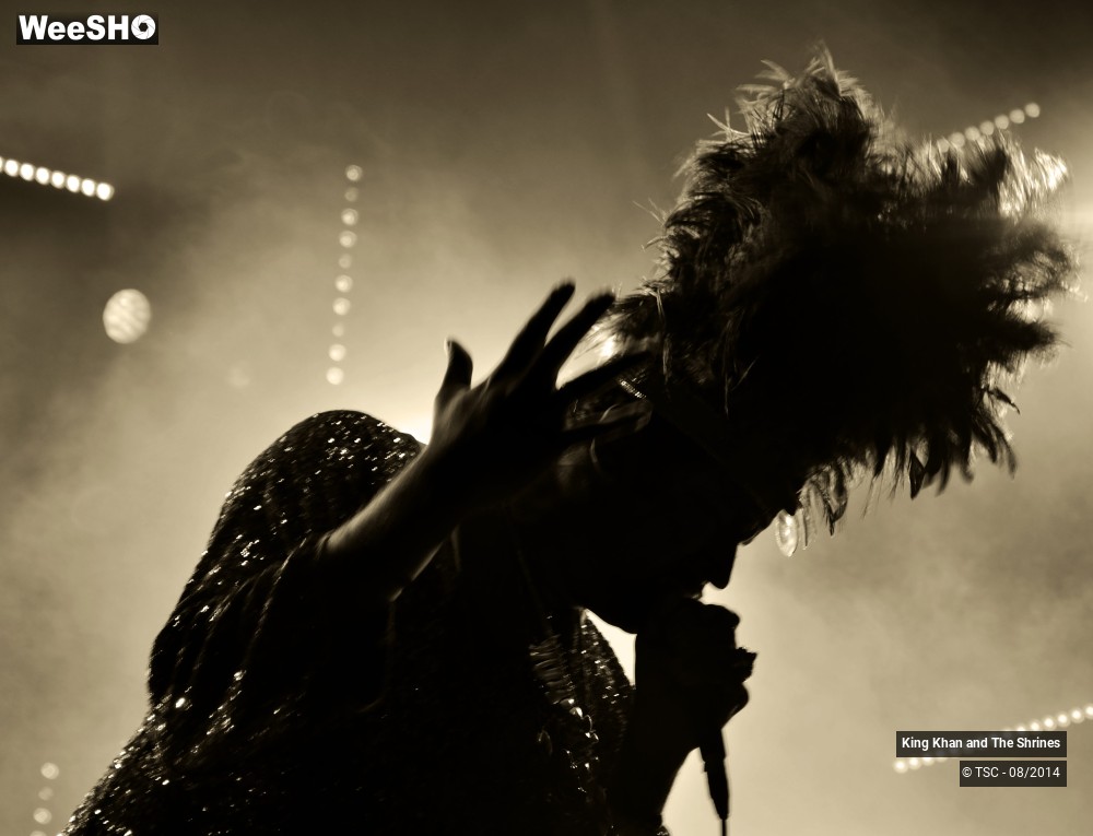 8/28 photos du spectacle King Khan and The Shrines