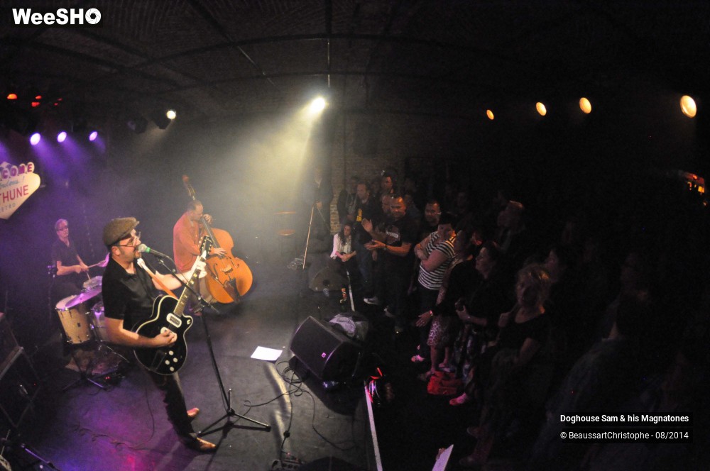 40/41 photos du spectacle Doghouse Sam & his Magnatones