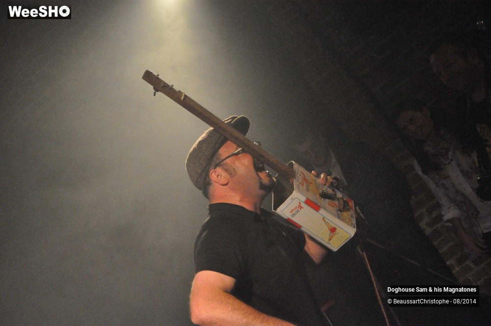 41/41 photos du spectacle Doghouse Sam & his Magnatones