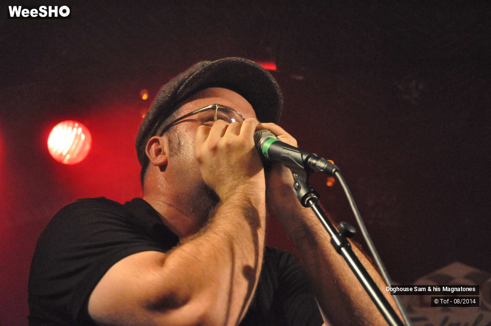 7/41 photos du spectacle Doghouse Sam & his Magnatones