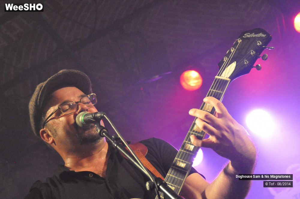 8/41 photos du spectacle Doghouse Sam & his Magnatones