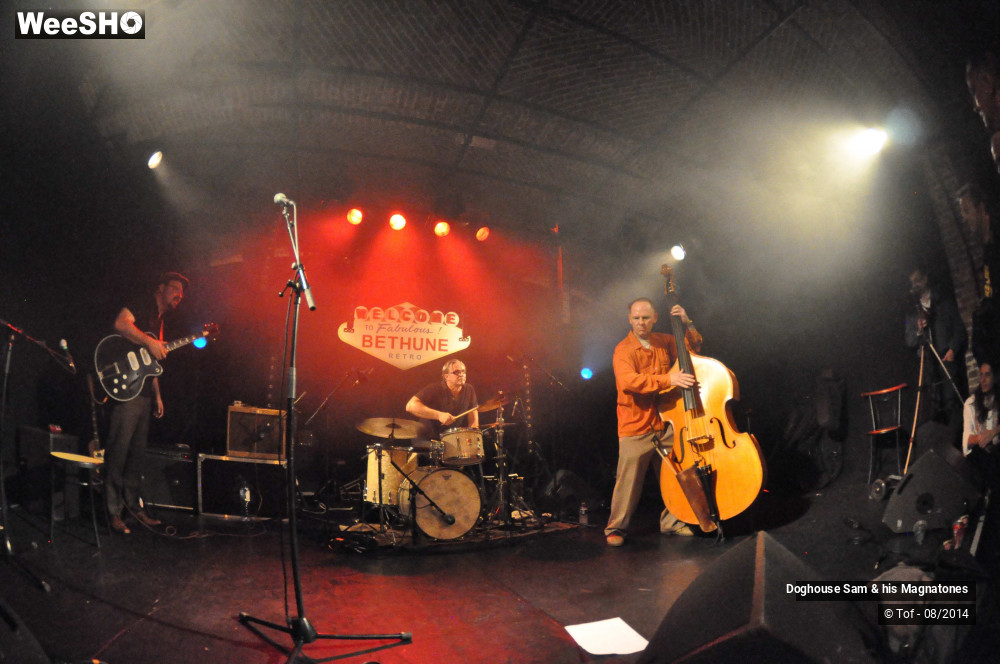 9/41 photos du spectacle Doghouse Sam & his Magnatones