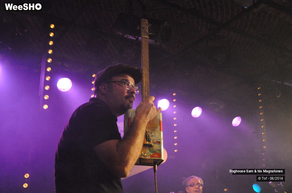 15/41 photos du spectacle Doghouse Sam & his Magnatones