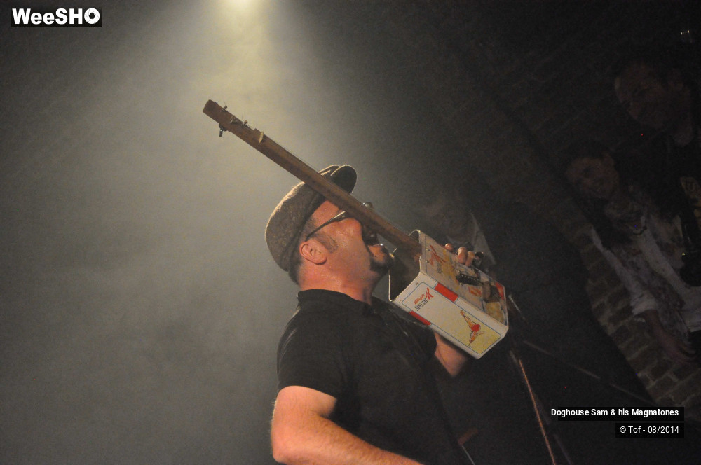16/41 photos du spectacle Doghouse Sam & his Magnatones