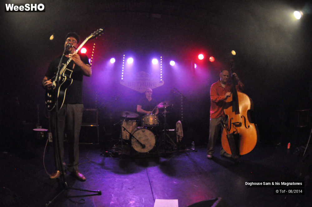 17/41 photos du spectacle Doghouse Sam & his Magnatones