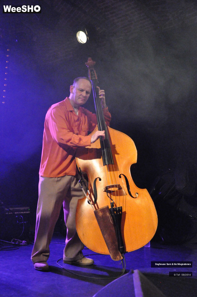 18/41 photos du spectacle Doghouse Sam & his Magnatones