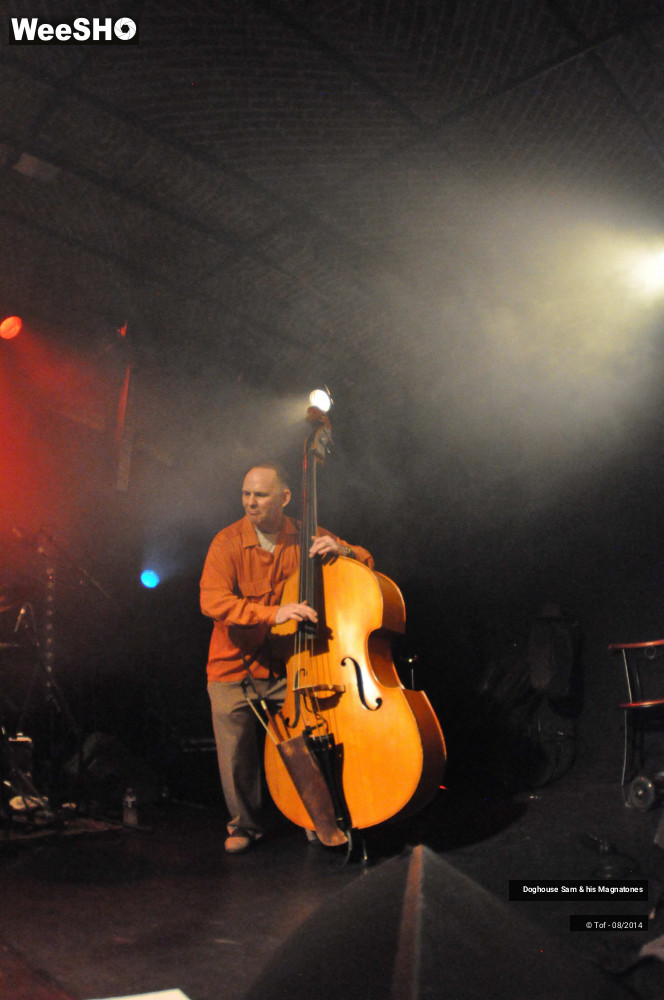 32/41 photos du spectacle Doghouse Sam & his Magnatones
