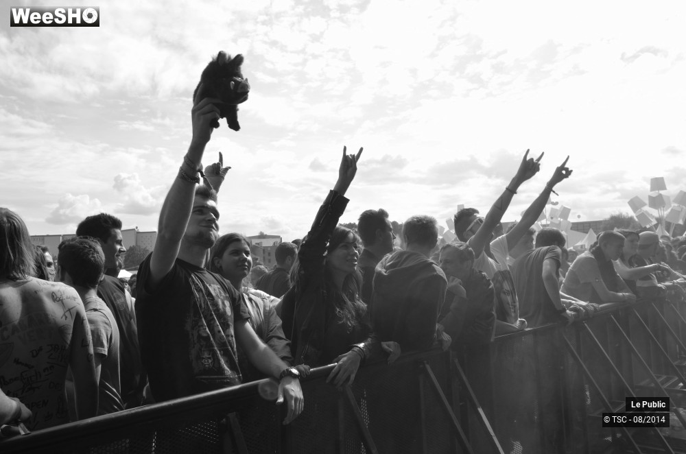 3/49 photos du spectacle Ambiance Cabaret Vert 2014 Jour 2