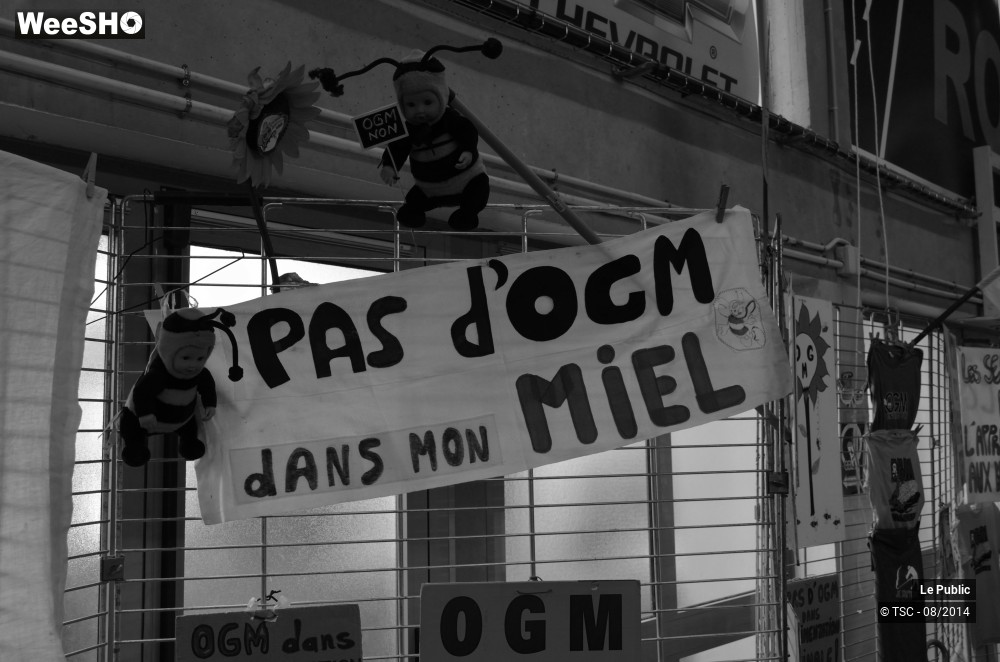 5/49 photos du spectacle Ambiance Cabaret Vert 2014 Jour 2