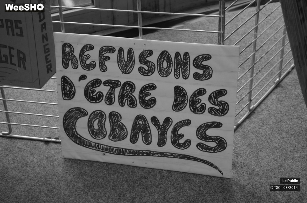 12/49 photos du spectacle Ambiance Cabaret Vert 2014 Jour 2