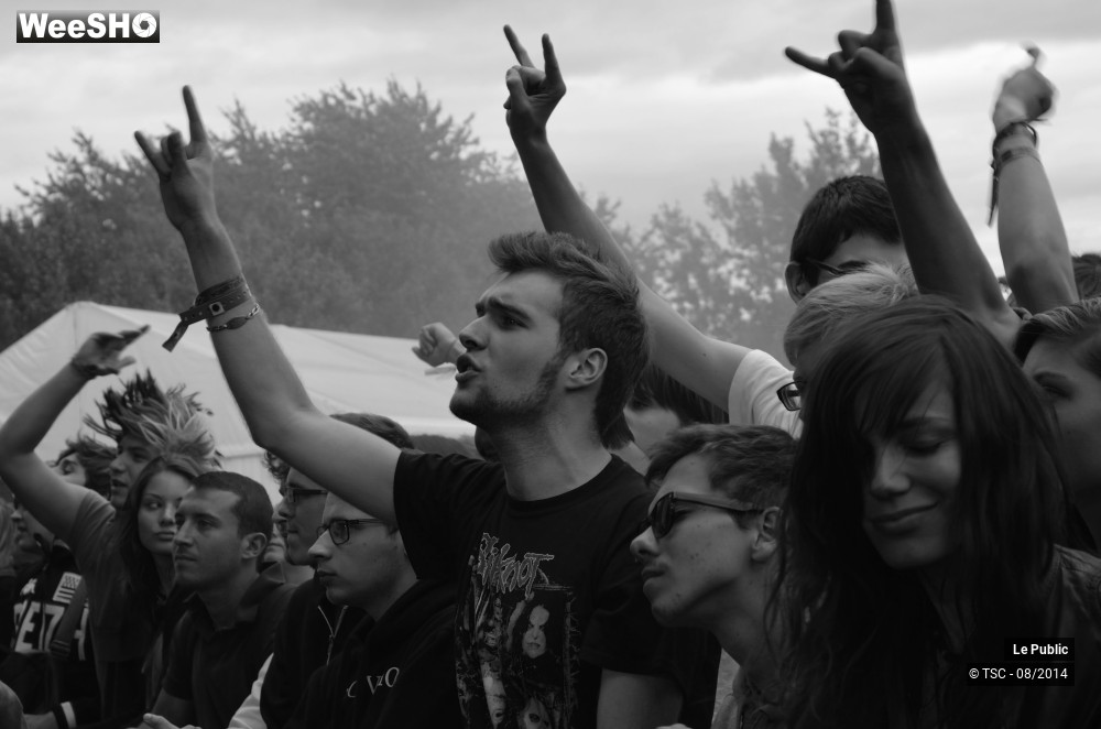 13/49 photos du spectacle Ambiance Cabaret Vert 2014 Jour 2