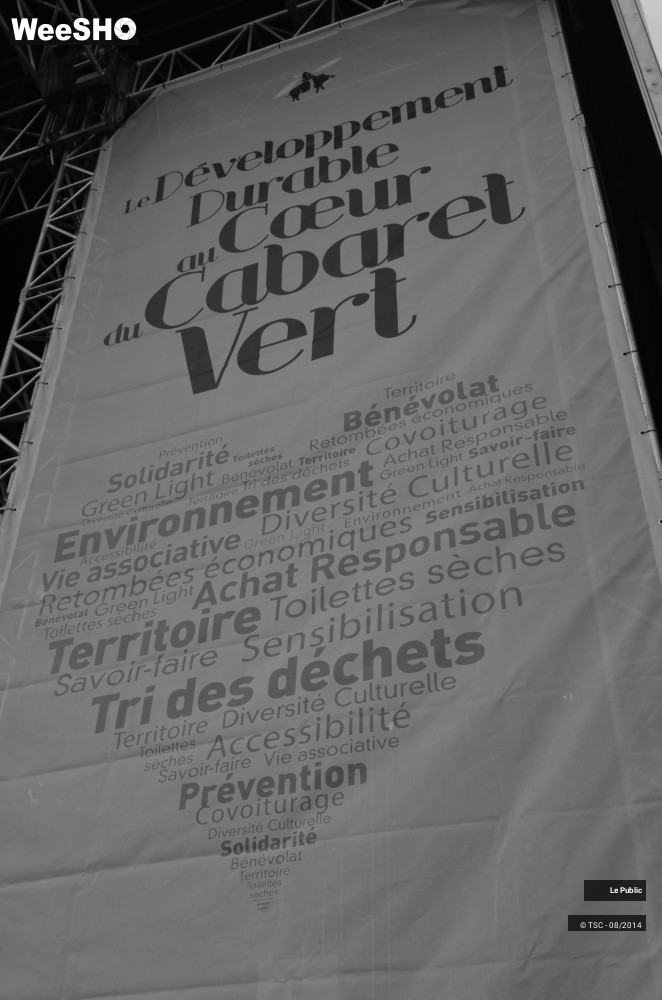 44/49 photos du spectacle Ambiance Cabaret Vert 2014 Jour 2
