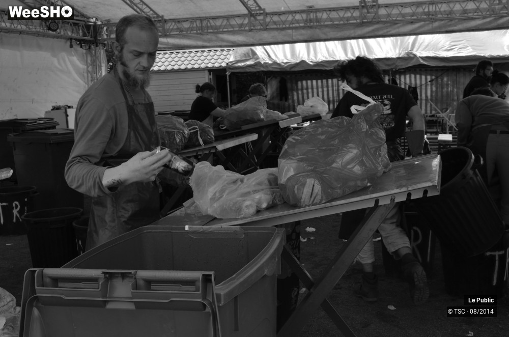 46/49 photos du spectacle Ambiance Cabaret Vert 2014 Jour 2