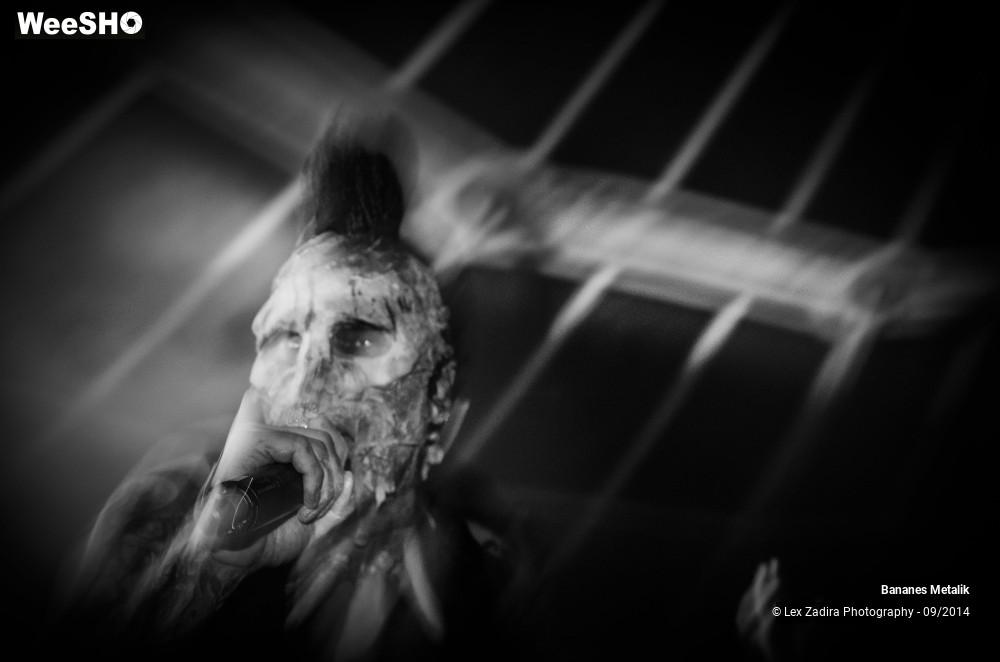 12/15 photos du spectacle Banane Metalik